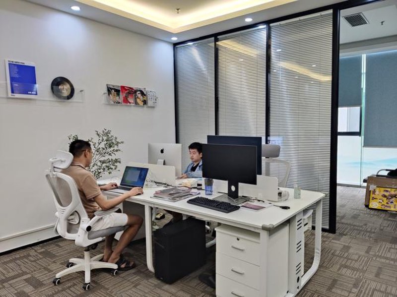 商务信息咨询：你的企业指南针